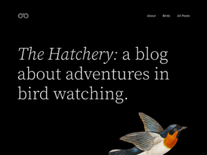 Tema-WordPress-twentytwentytwo Tema-WordPress-twentytwentytwo
